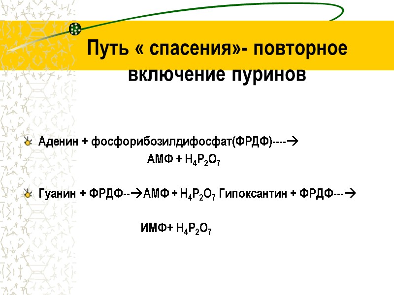 Путь « спасения»- повторное включение пуринов    Аденин + фосфорибозилдифосфат(ФРДФ)----  